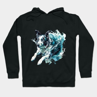 Border collie diving splash Hoodie